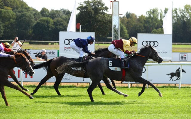 Audi Ascot Renntag 2022 Hannover