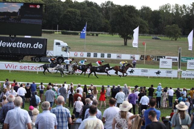 Audi Ascot Renntag