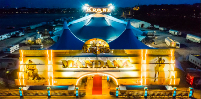 Circus Krone die wahren Stars der Manege